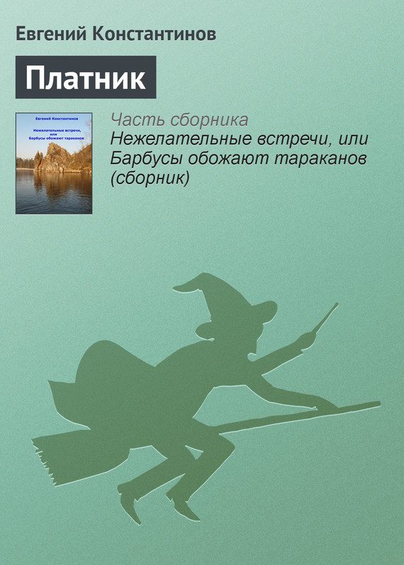 Обложка книги «Платник»