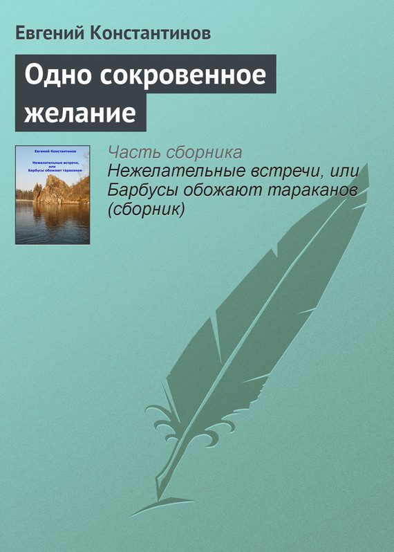 Обложка книги «Одно сокровенное желание»