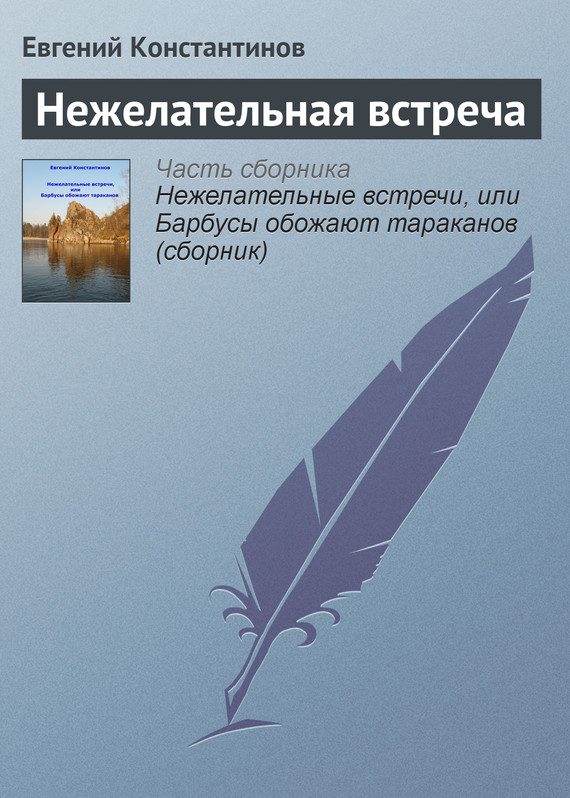 Обложка книги «Нежелательная встреча»
