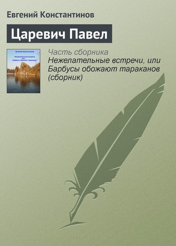 Обложка книги «Царевич Павел»
