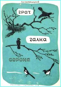 Обложка книги «Грач. Галка. Сорока»