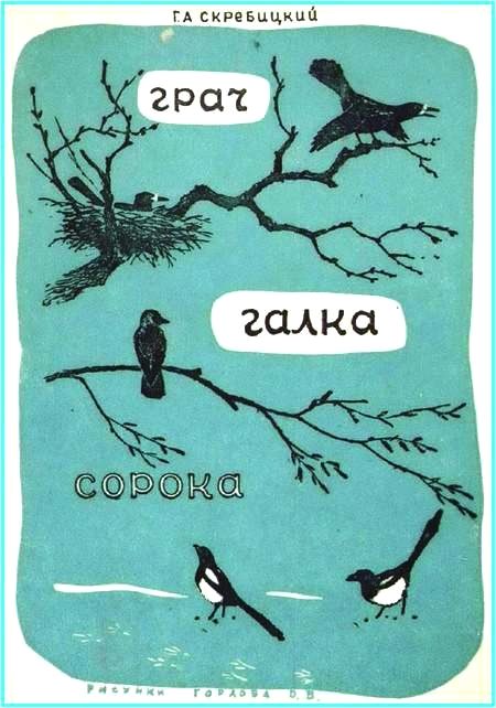 Обложка книги «Грач. Галка. Сорока»