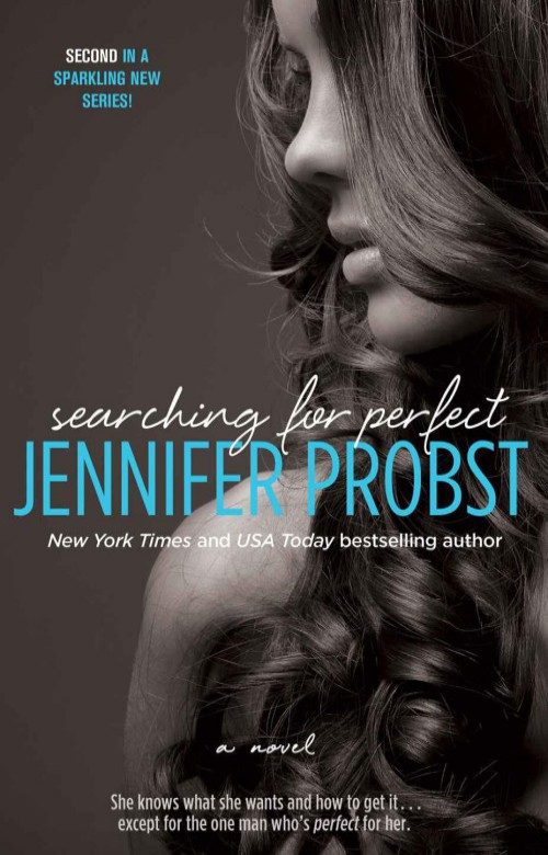 Обложка книги «Searching for Perfect»