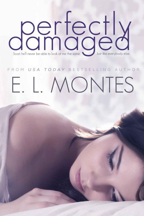 Обложка книги «Perfectly Damaged»