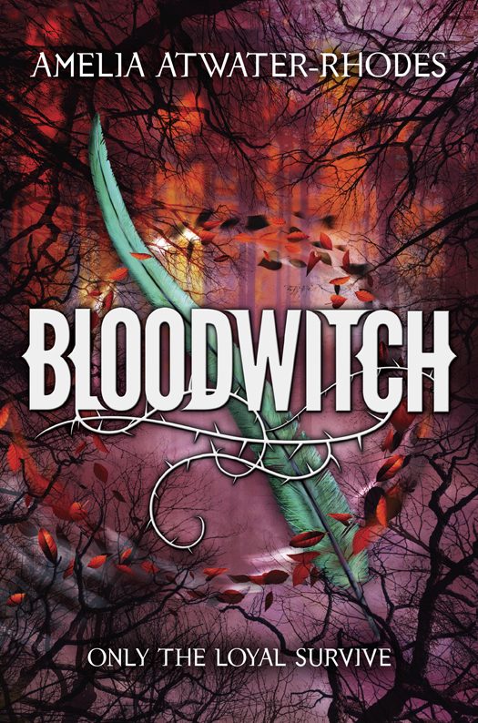 Обложка книги «Bloodwitch»