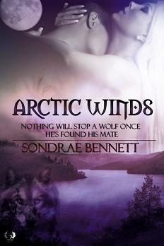 Обложка книги «Arctic Winds»