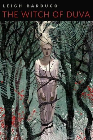 Обложка книги «The Witch of Duva»