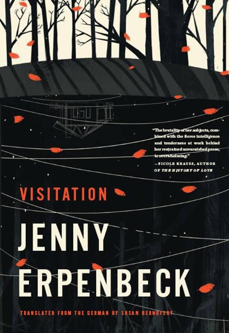 Обложка книги «Visitation»