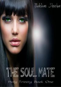 Обложка книги «The Soul Mate»