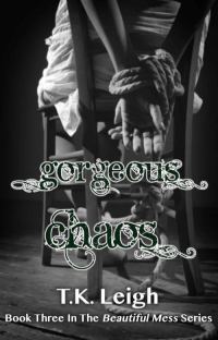 Обложка книги «Gorgeous Chaos»
