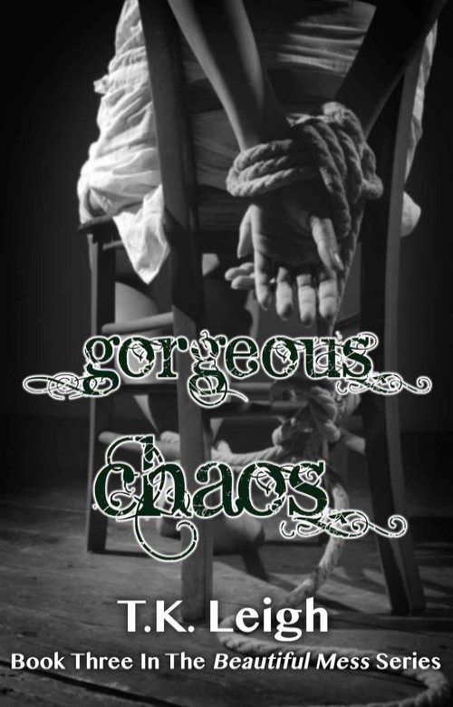 Обложка книги «Gorgeous Chaos»