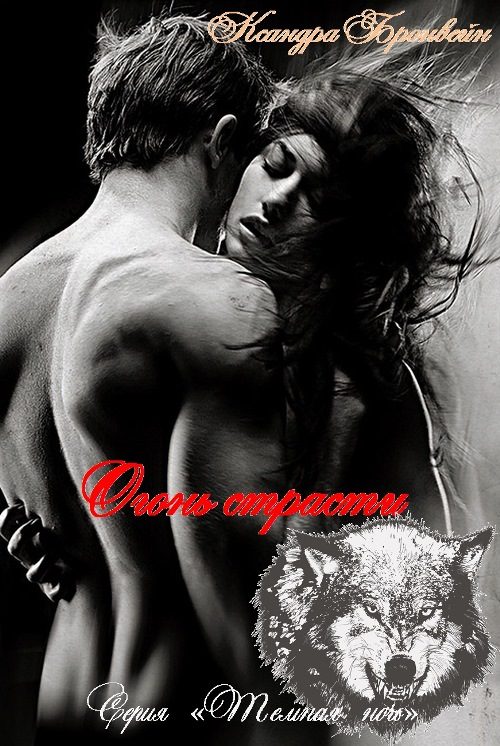 Обложка книги «Огонь страсти»