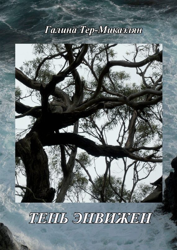 Обложка книги «Тень Энвижен»