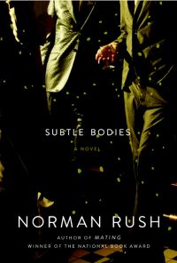Обложка книги «Subtle Bodies»