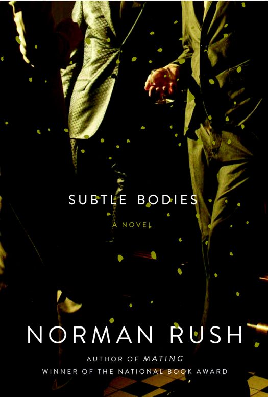 Обложка книги «Subtle Bodies»