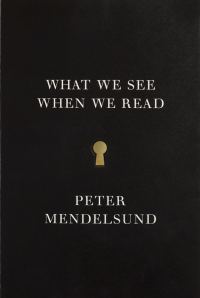 Обложка книги «What We See When We Read»