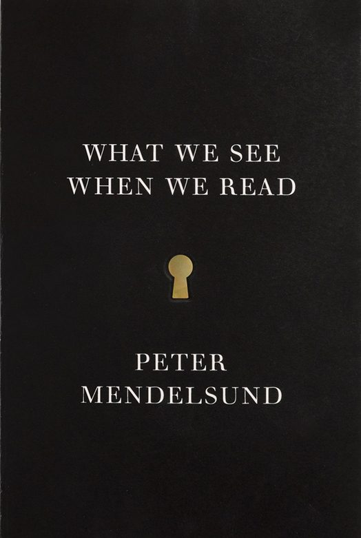 Обложка книги «What We See When We Read»