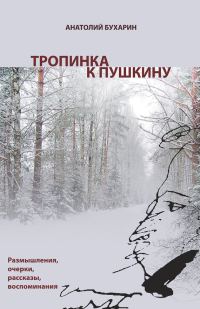 Обложка книги «Тропинка к Пушкину, или Думы о русском самостоянии»