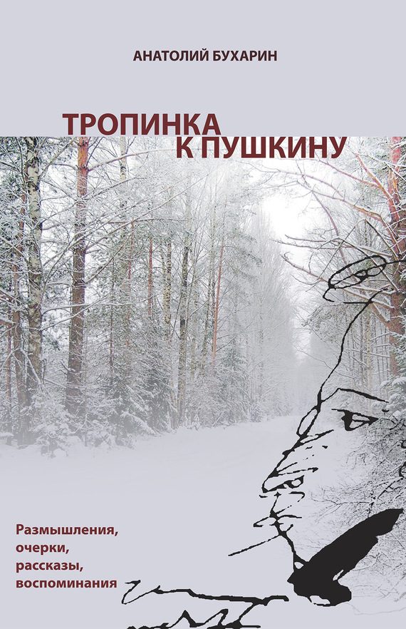 Обложка книги «Тропинка к Пушкину, или Думы о русском самостоянии»