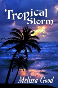 Обложка книги «Tropical Storm»