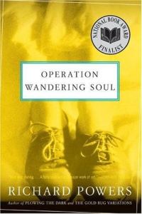 Обложка книги «Operation Wandering Soul»