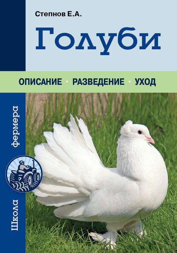 Обложка книги «Голуби»