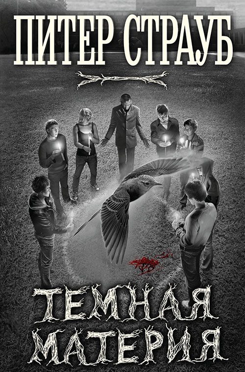 Обложка книги «Темная материя»