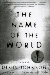 Обложка книги «The Name of the World»
