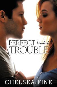 Обложка книги «Perfect Kind Of Trouble»