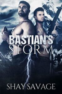 Обложка книги «Bastian's Storm»