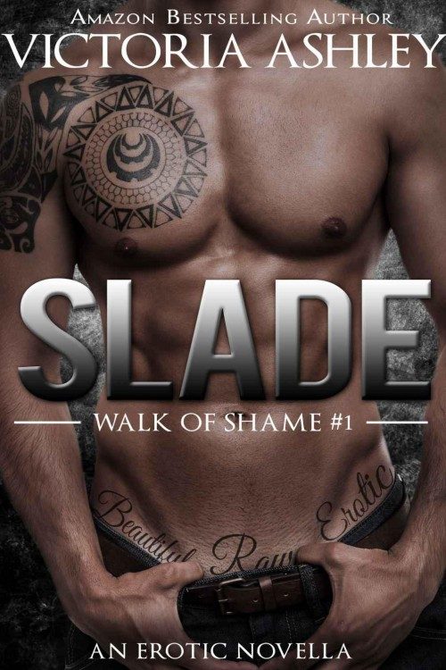 Обложка книги «Slade»
