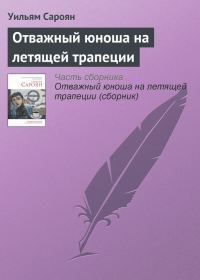 Обложка книги «Отважный юноша на летящей трапеции»