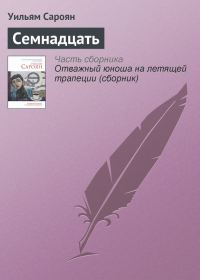 Обложка книги «Семнадцать»