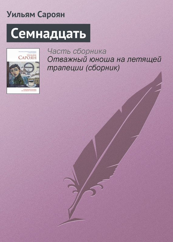 Обложка книги «Семнадцать»
