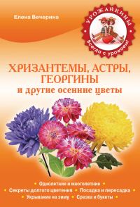 Обложка книги «Хризантемы, астры, георгины и другие осенние цветы»