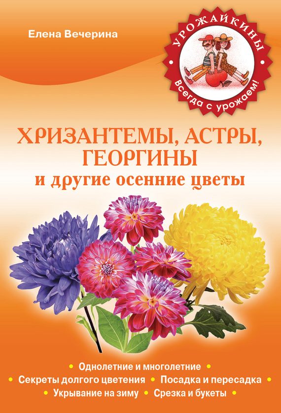 Обложка книги «Хризантемы, астры, георгины и другие осенние цветы»