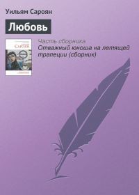Обложка книги «Любовь»