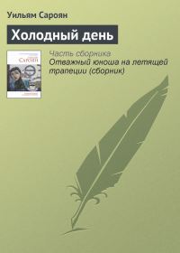 Обложка книги «Холодный день»