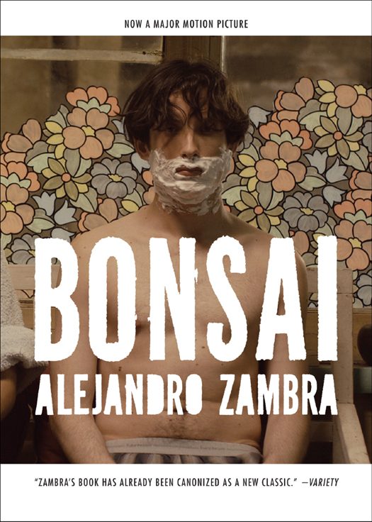 Обложка книги «Bonsai»