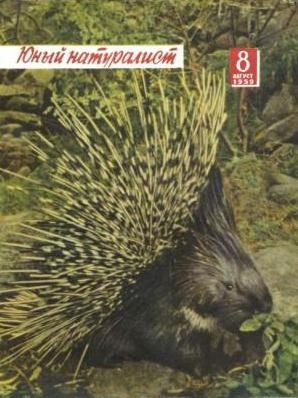 Обложка книги «Подземное путешествие Алеши Перца»