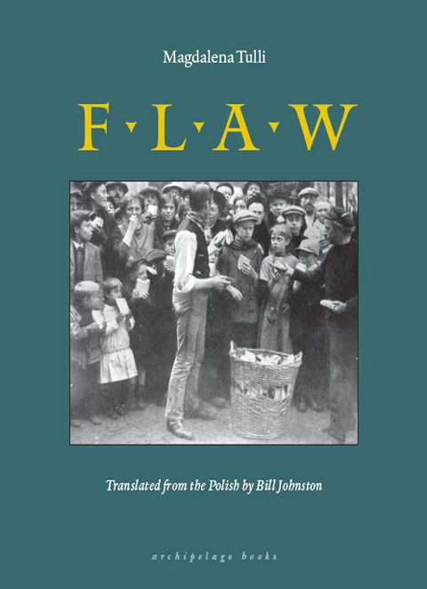 Обложка книги «Flaw»