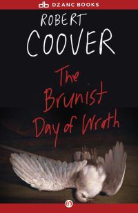Обложка книги «The Brunist Day of Wrath»