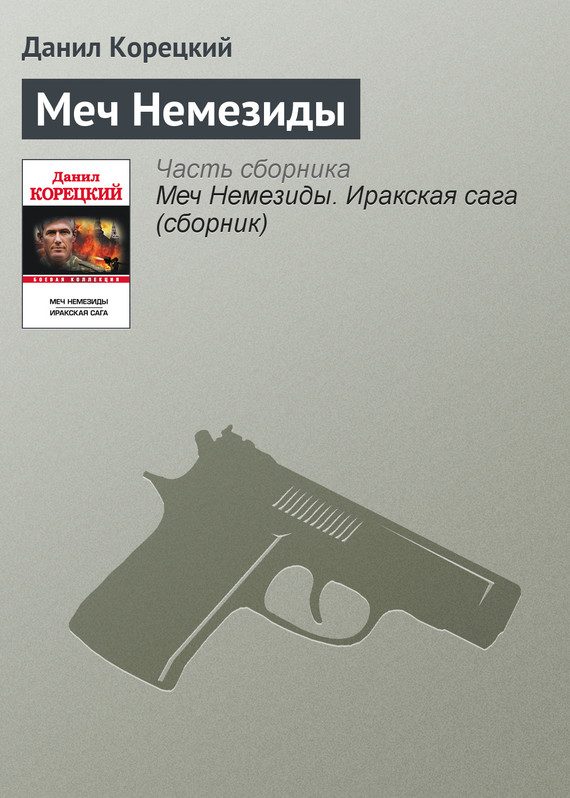 Обложка книги «Меч Немезиды»