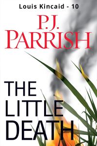 Обложка книги «The Little Death»