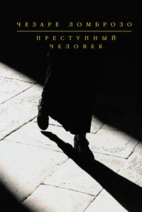 Обложка книги «Политическая преступность»