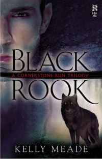 Обложка книги «Black Rook»