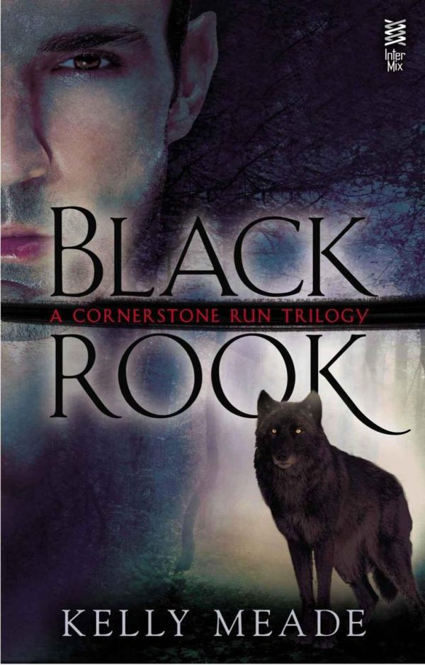 Обложка книги «Black Rook»