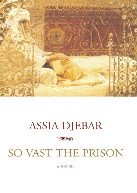 Обложка книги «So Vast the Prison»