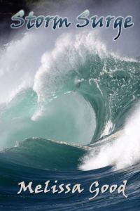 Обложка книги «Storm Surge»
