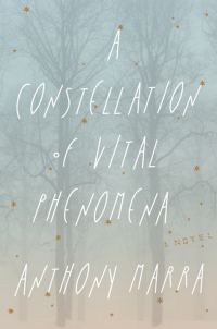 Обложка книги «A Constellation of Vital Phenomena»